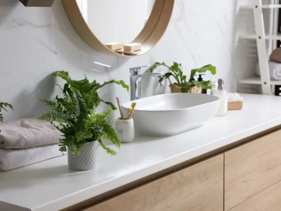 Es posible poner plantas en el baño
